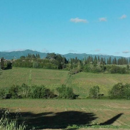 La Dimora Di Angela Lejlighed Barberino di Mugello Eksteriør billede